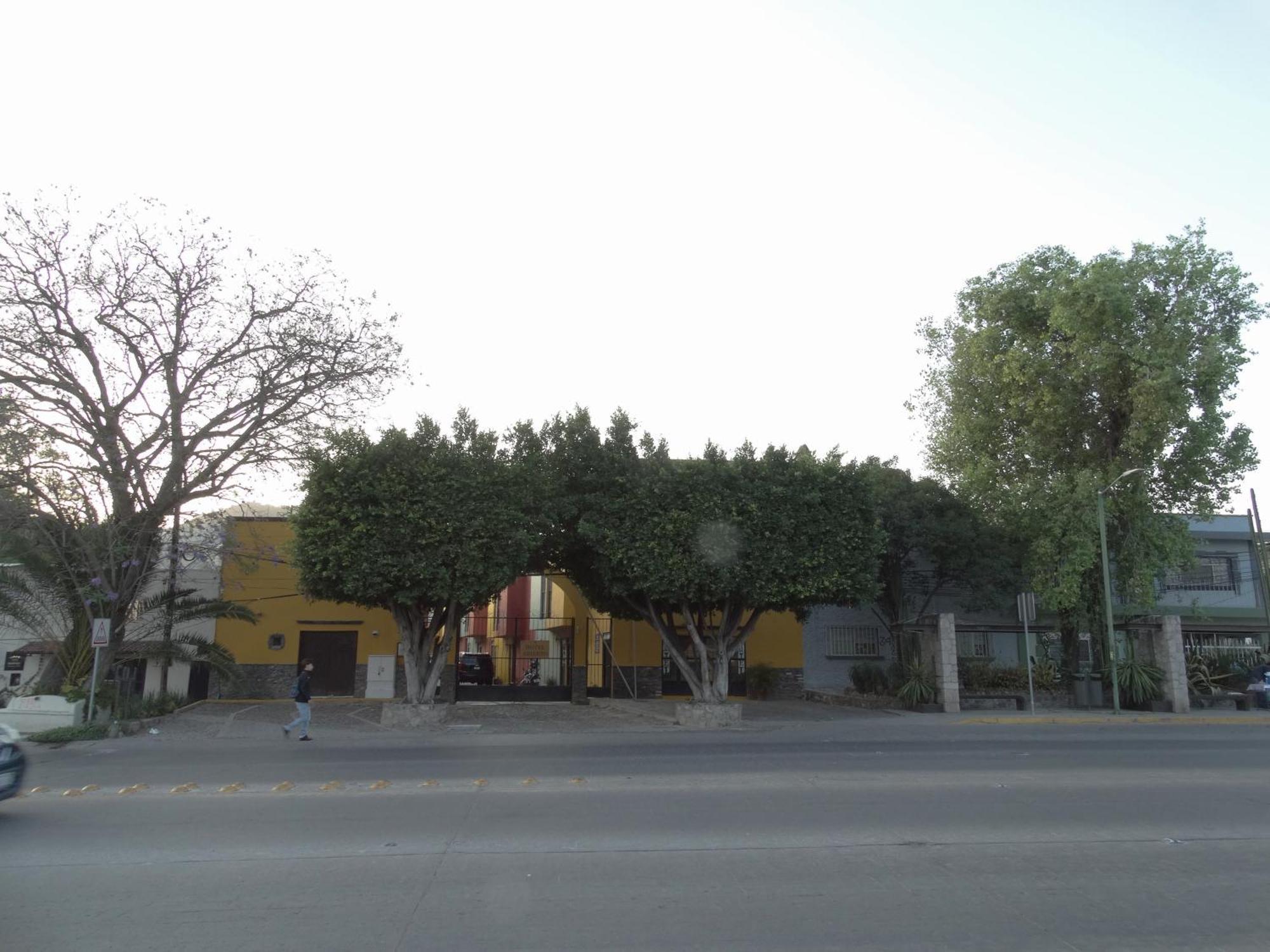 Hotel Camino De Allende 산미겔데아옌데 외부 사진